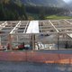 HALLE STUBAI