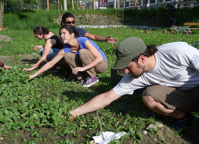 Gemeinschaftsgarten Innsbruck – Wilten